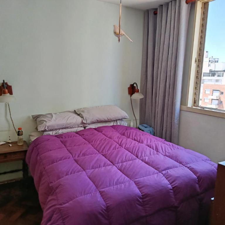 Cómodo y bien ubicado - One-Bedroom Apartment - 1