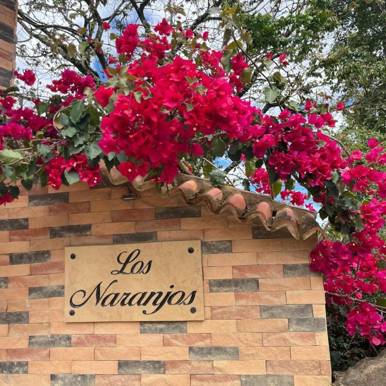 Cabaña Los Naranjos - Three-Bedroom House - 16