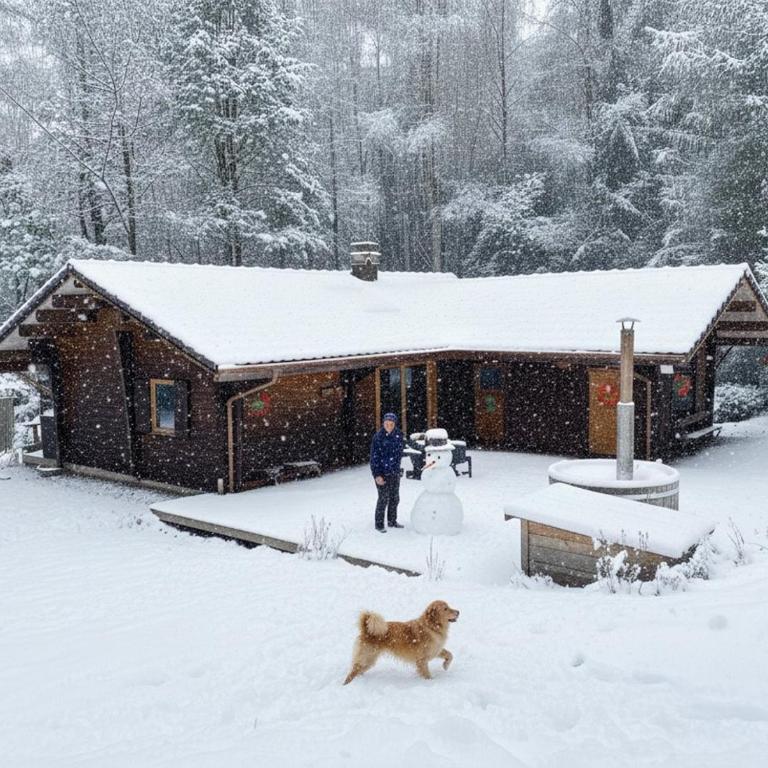 LE FISHING LODGE Chalet en bois avec bain nordique - Chalet - 33