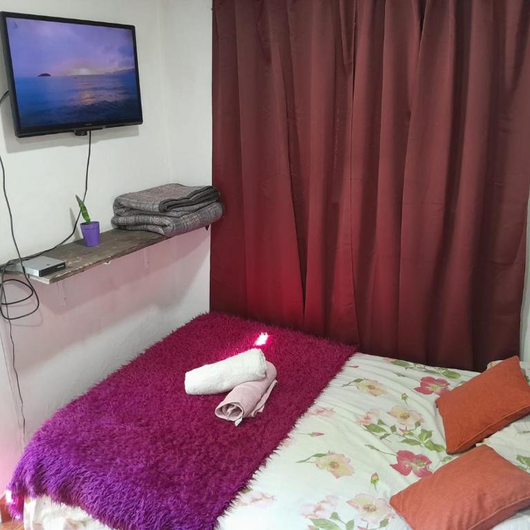 Alojamiento Piecita bajo el Ciruelo - Apartamento de 1 dormitorio - 5