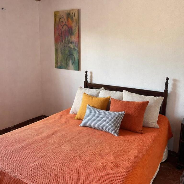 Viva raíz - Apartamento de 2 dormitorios - 1