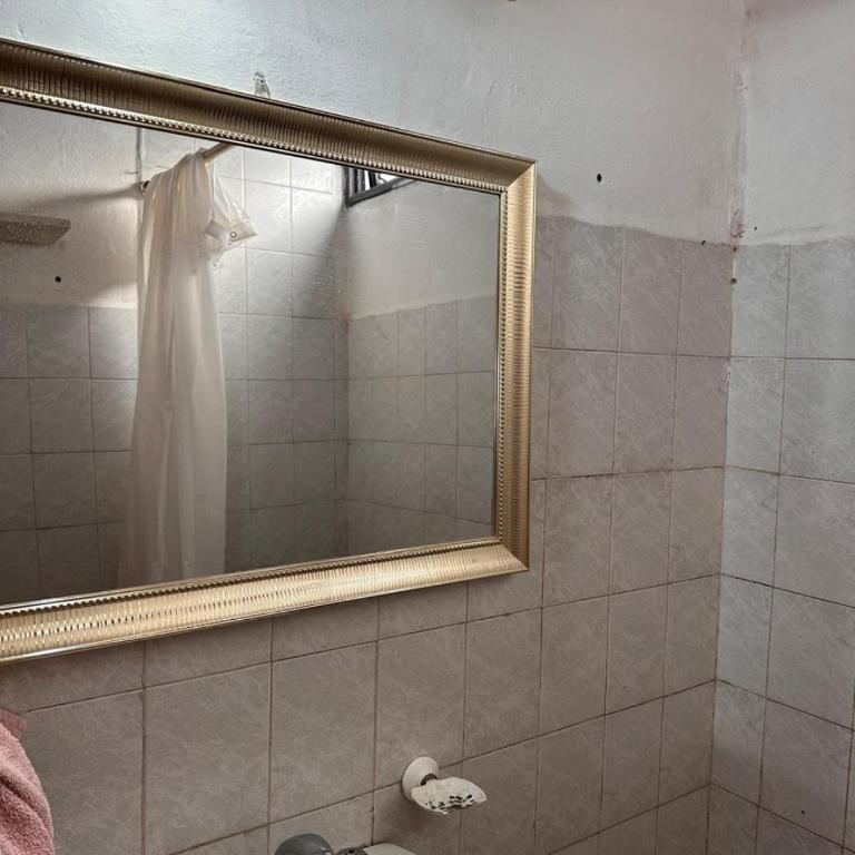 Viva raíz - Apartamento de 2 dormitorios - 5