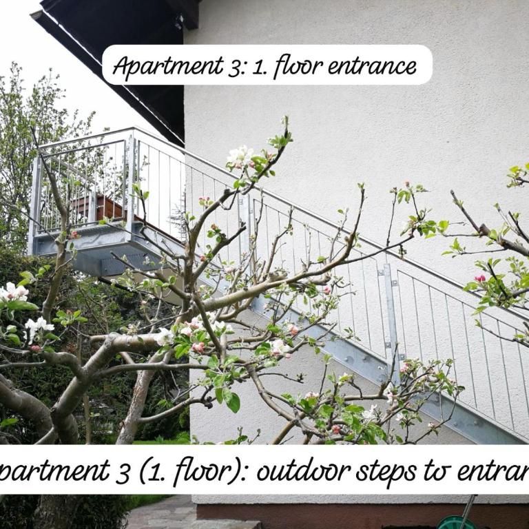 Angi's Apartment - Appartamento con 2 Camere da Letto - 13