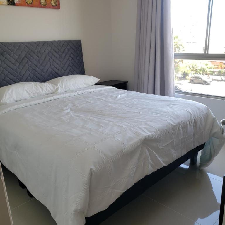 Zapahuira - Two-Bedroom Apartment - 2