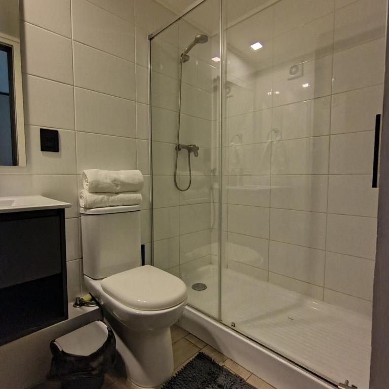 Departamento completo en el centro de Santiago - One-Bedroom Apartment - 38