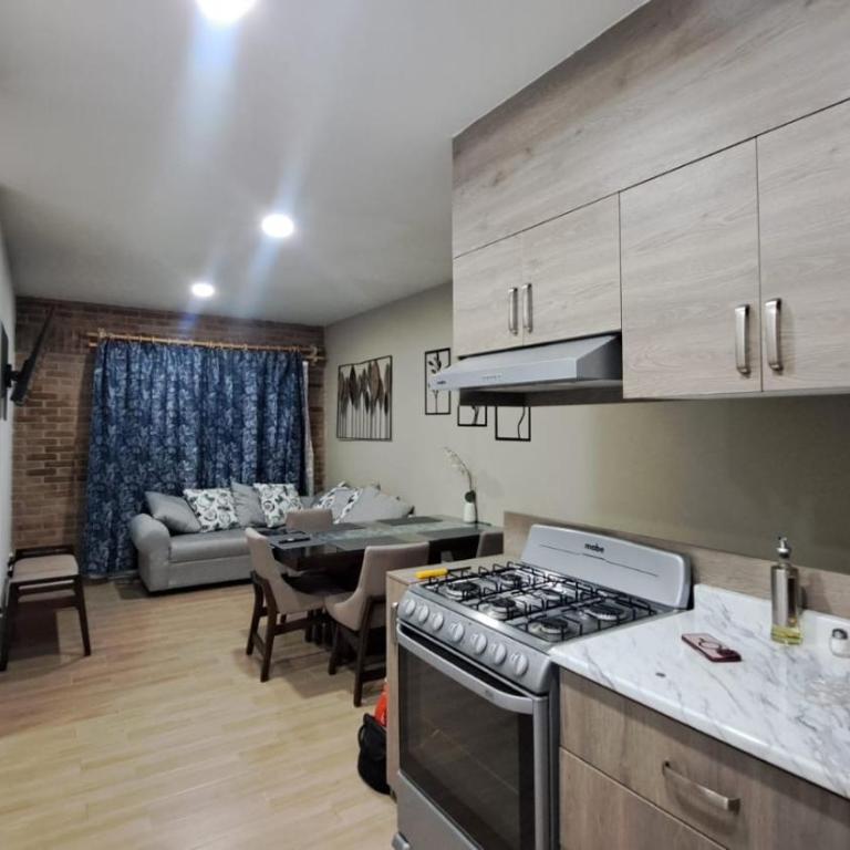 Departamento oasis - Apartamento de 2 dormitorios - 4