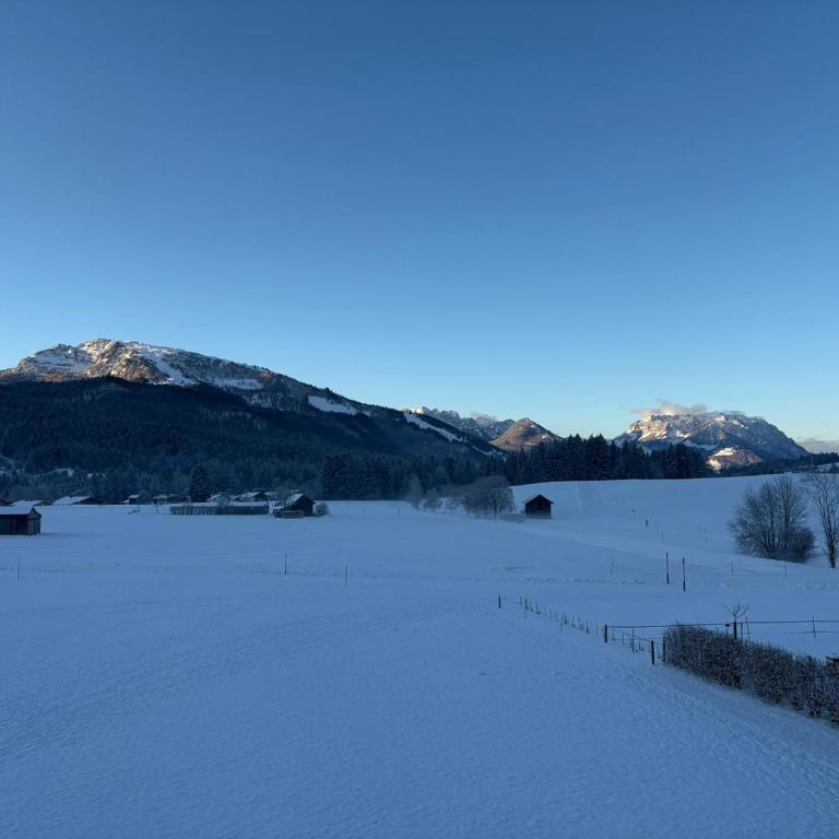Ferienwohnung Alpenpanorama - Apartment - 2