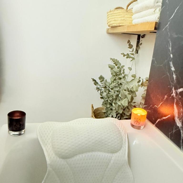 Idéal Cosy Lumineux Central calme Fonctionnel & Beau - Appartement 1 Chambre - 2