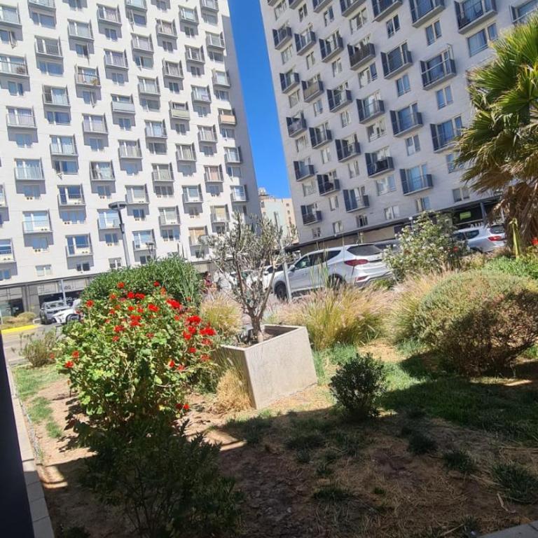 Apartamento en la ciudad de Calama - One-Bedroom Apartment - 7