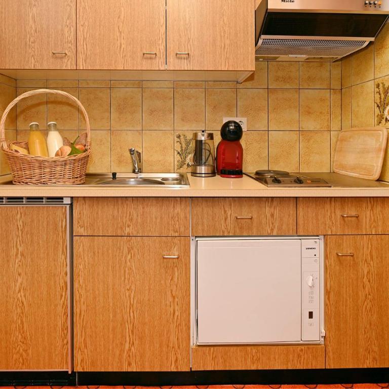 Rundblick Gästehaus Schruns Tschagguns by Alpenfeder - One-Bedroom Apartment with Terrace - 7