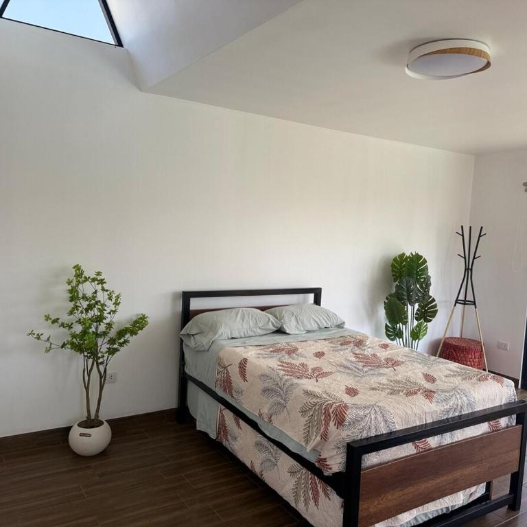 Casa Hacienda El Triangulo - Asia del Campo - Casa de 5 dormitorios - 30