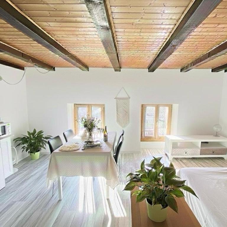 Le Studio du Rhône - Apartment mit 1 Schlafzimmer - 1