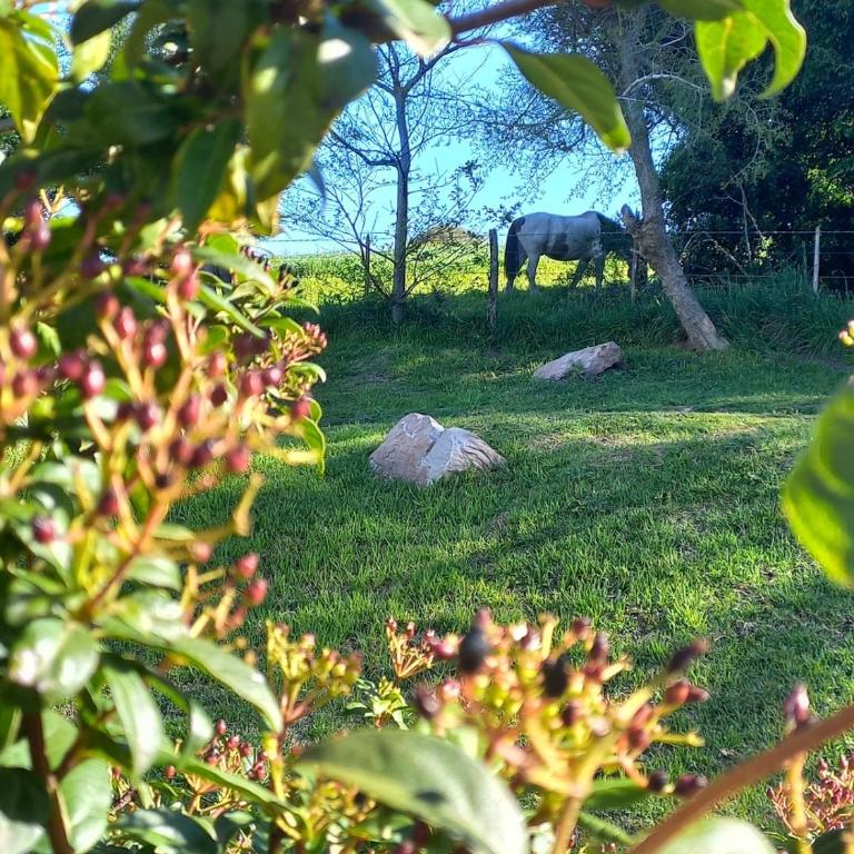 Casa Sierra de los Padres Gran parque y pileta - Casa de 2 dormitorios - 9