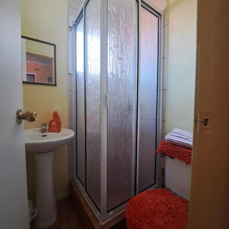 Arriendo Cabaña Por Dia! - One-Bedroom Apartment - 7