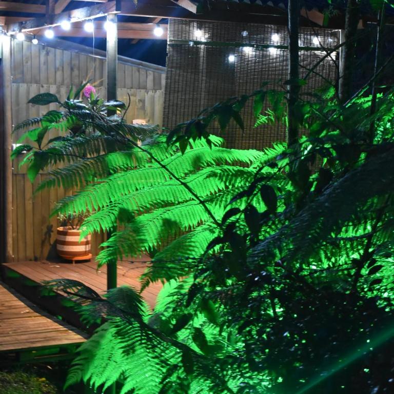 Sukha Glamping - Habitación Doble con vistas al jardín - 14