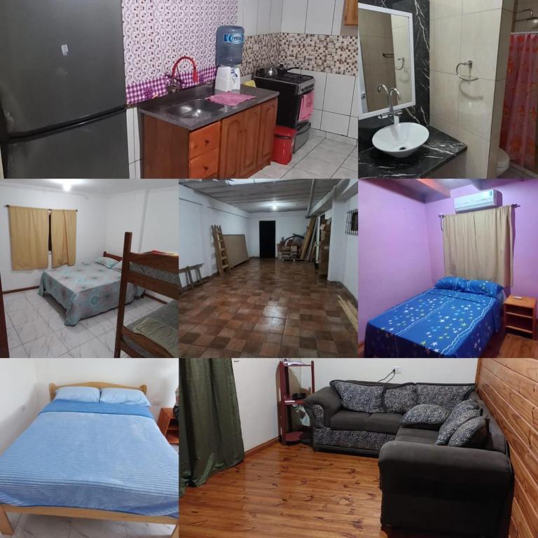 Departamentos la avenida - Apartamento de 3 dormitorios - 1