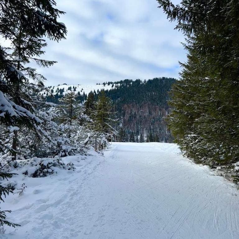 Summit Alps Apartments - Inclusive Bergbahntickets - Apartment - Erdgeschoss - 28