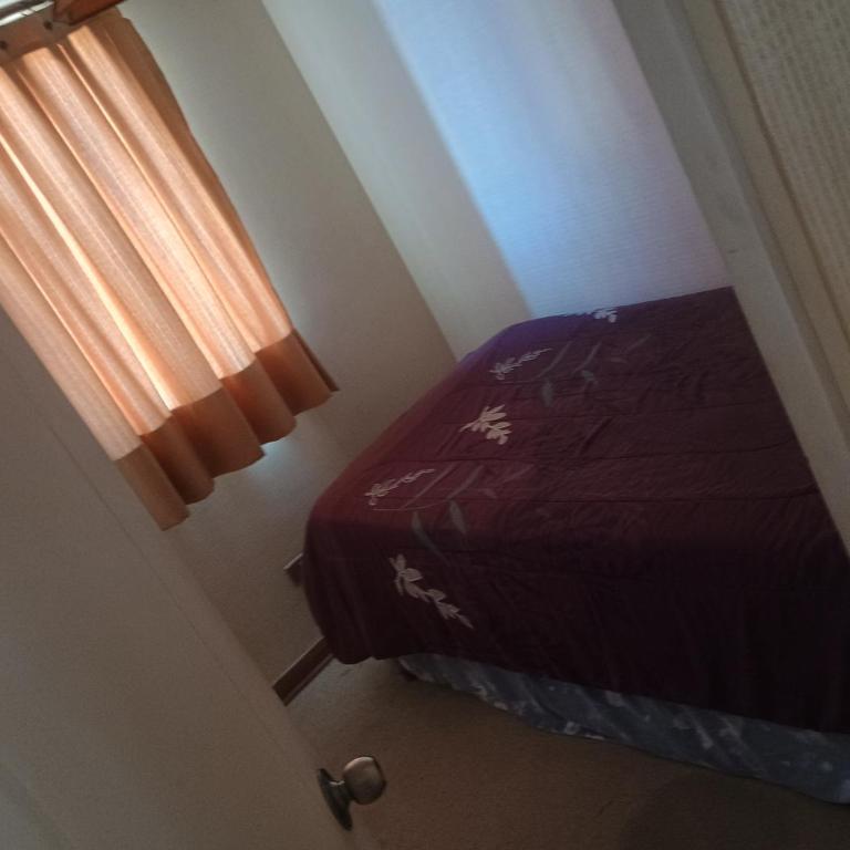 Departamento - Apartamento de 2 dormitorios - 8