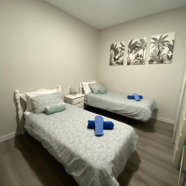 Santa Cruz de Tenerife Toscal, Free Parking gratis - Apartamento - 7