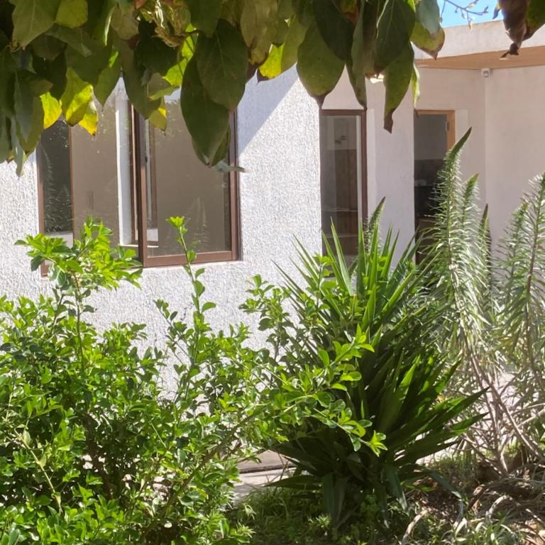 Maitencillo a 5 minutos!!! - One-Bedroom Apartment - 20