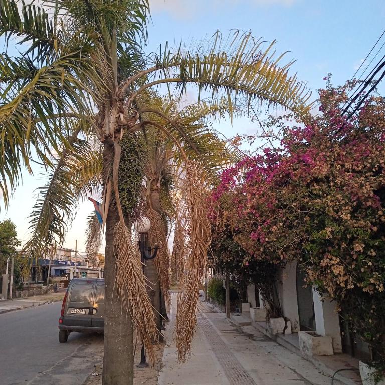 Aranjuez - Apartamento de 1 dormitorio - 9