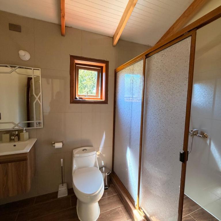 Cabañas Altos del Sollipulli - Two-Bedroom Chalet - 25
