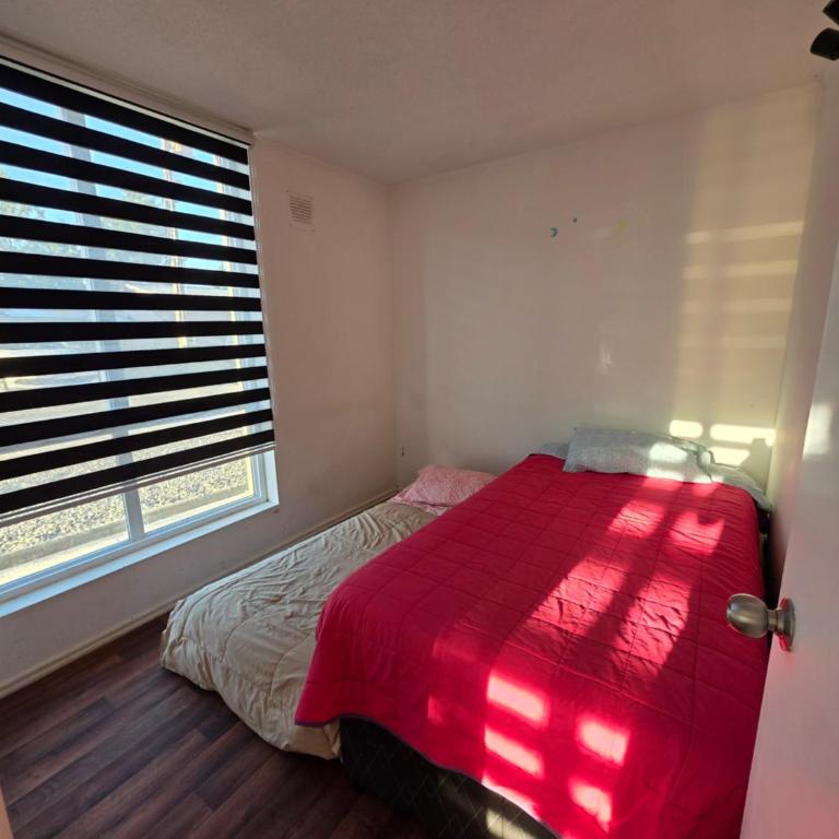 Depto en villarrica - Apartamento de 2 dormitorios - 6