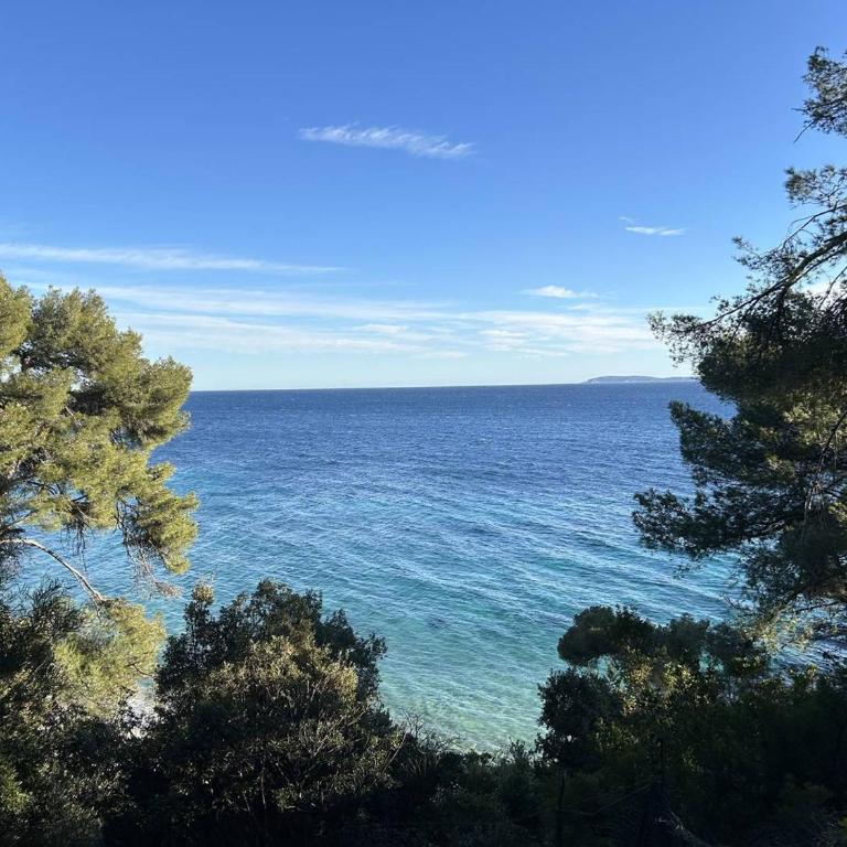 Appartement 2 pièces, terrasse et parking, Bormes-les-Mimosas - FR-1-251-892 - Appartamento - 14