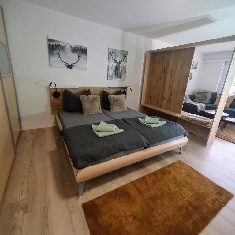 Valère Mountain Resort Leukerbad - Estudio con vistas a las montañas - 13