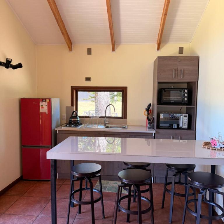 Altos del Sollipulli - One-Bedroom Apartment - 8