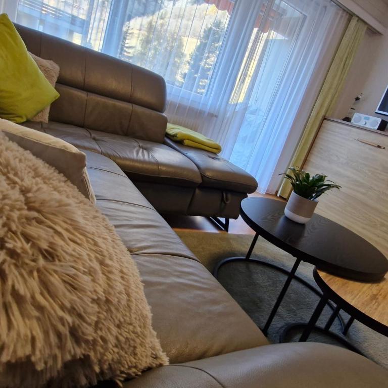 Valère Mountain Resort Leukerbad - Apartamento de 1 dormitorio con balcón y vistas a la montaña - 18