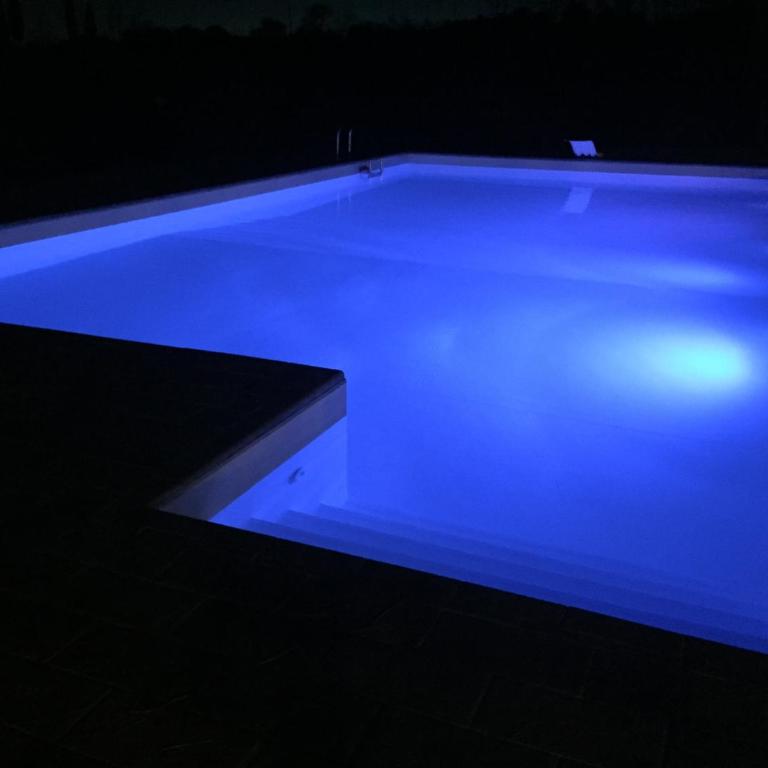 Villa Talciona - Appartamento - 13