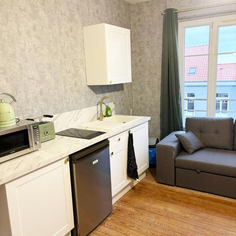 Appartement cosy de 55 m2, élégant et rénové Boulogne sur mer - Appartamento con 1 Camera da Letto - 6