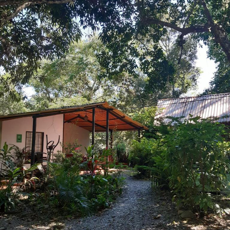 TierraViva - Casa de 3 dormitorios - 6