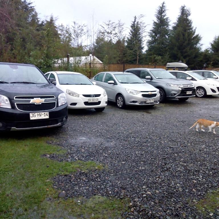 Cabaña Familiar con Jacuzzi Pétalos VillarricaTranquilidad a Minutos del Lago - Casa de 3 dormitorios - 6