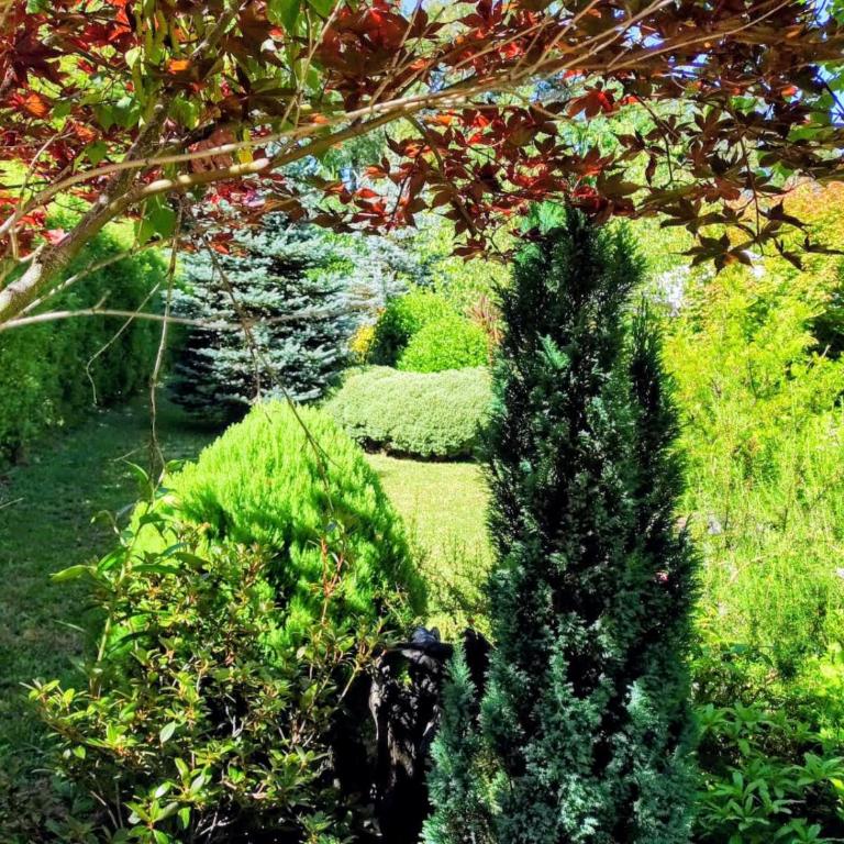 Cabaña Familiar con Jacuzzi Pétalos VillarricaTranquilidad a Minutos del Lago - Casa de 3 dormitorios - 11