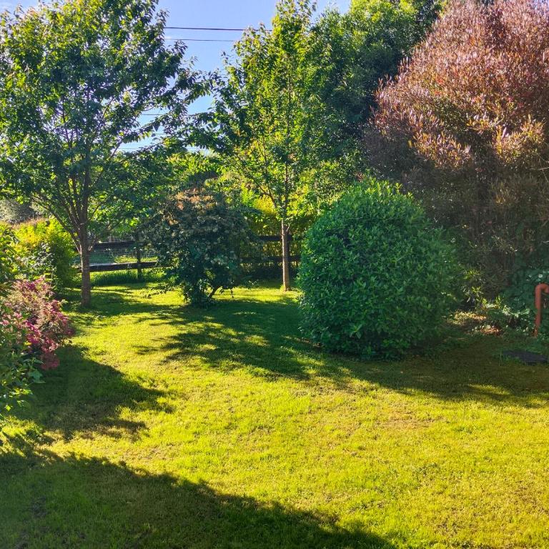 Cabaña Carretera Austral - Three-Bedroom House - 2