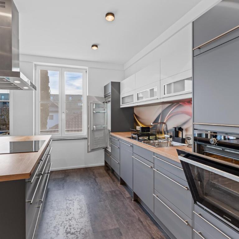 Illler Homes Memmingen Moderne Fewos für bis zu 7 Pers mit Küche & Parkplätzen, teilweise mit Terrasse - Apartment mit 2 Schlafzimmern - 3