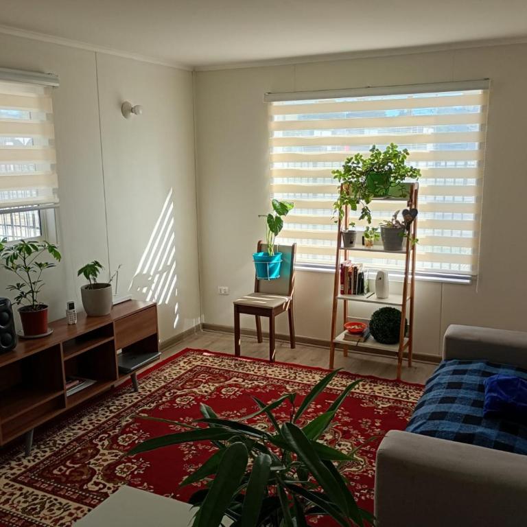 Casa para 5 personas en Villarrica - Casa de 3 dormitorios - 1