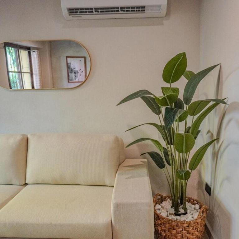Historic Center with Pool, Gym & Cowork - Two-Bedroom Apartment - 12