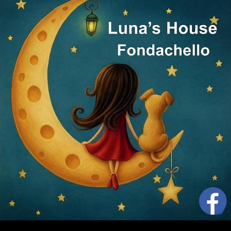 Luna's House Fondachello - Appartamento con Vista Piscina - 13