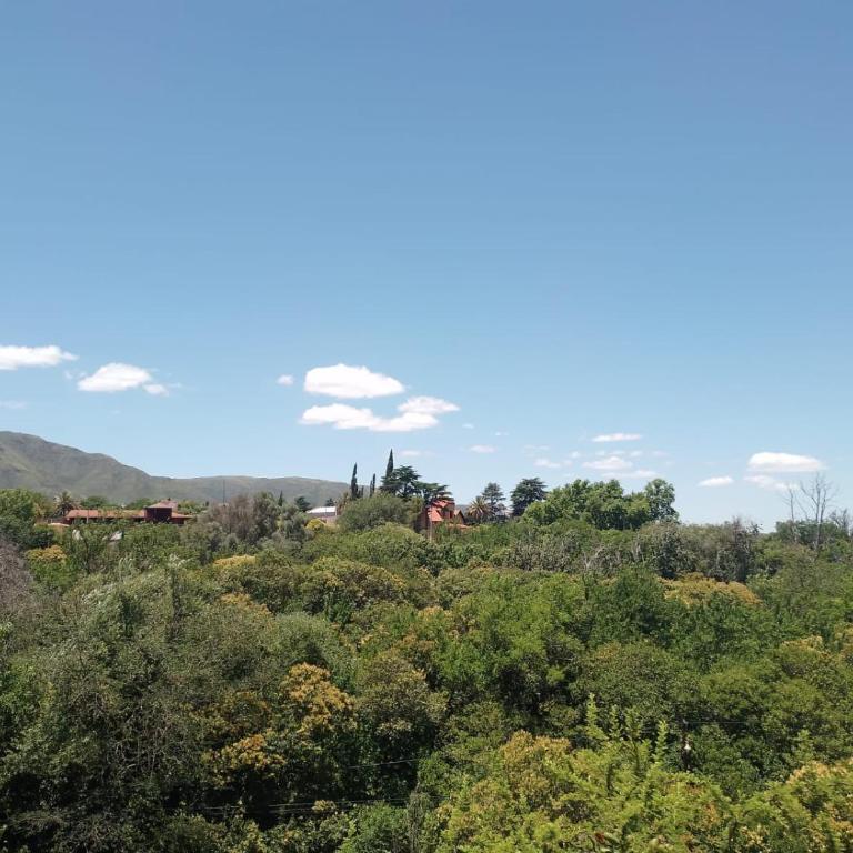 Beautiful apartment with pool in Huerta Grande - One-Bedroom Apartment - 12