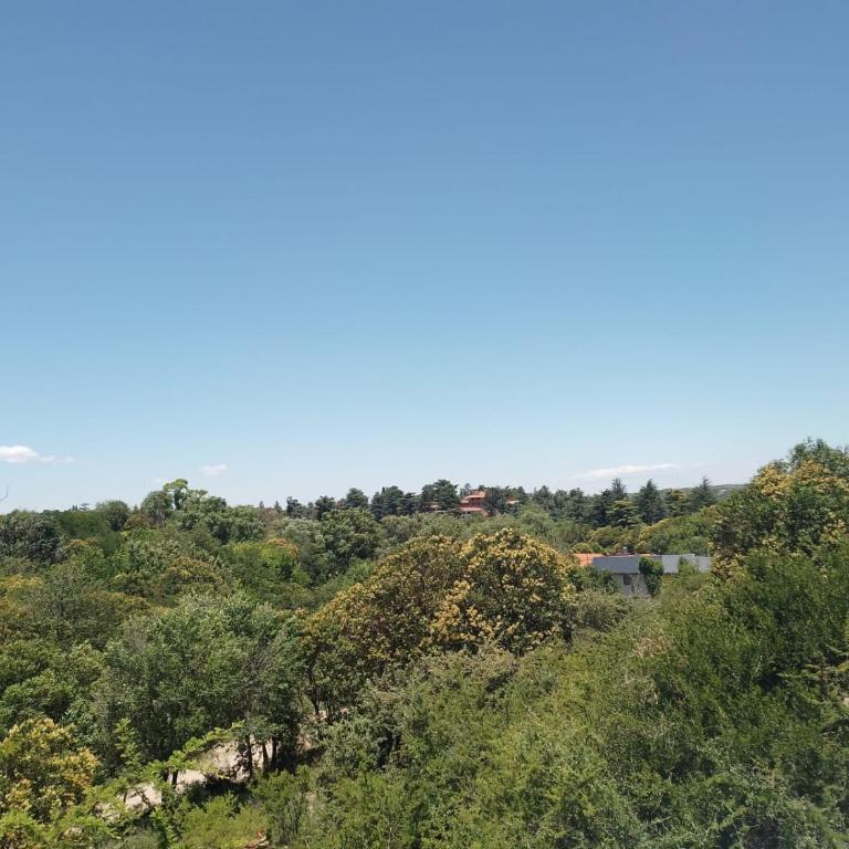 Beautiful apartment with pool in Huerta Grande - One-Bedroom Apartment - 13
