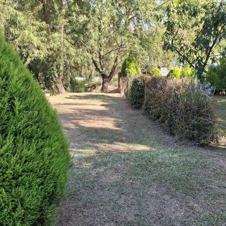 isla rio delta - Casa con 1 dormitorio - 11