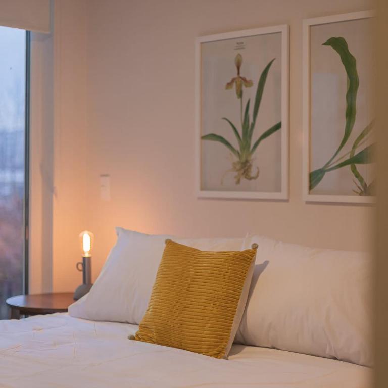 Studio Centrico Descanso y Confort en Santa Lucia - Apartamento - 30