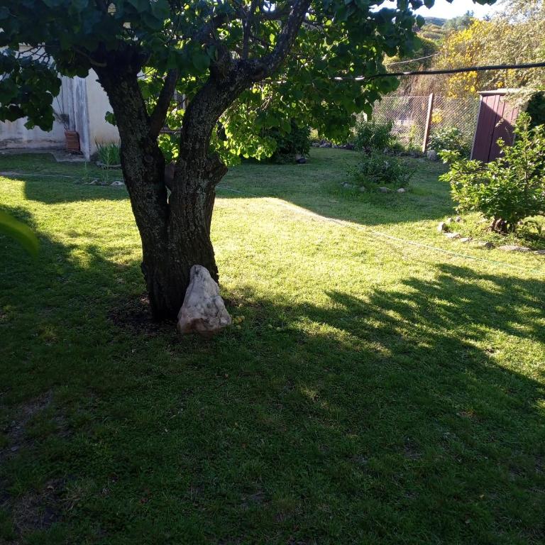 Córdoba - La Cumbre -Casa Temporario -Vista Cristo - Casa de 2 dormitorios - 24