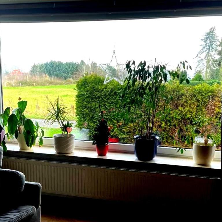 Appartamento Juliannes - Apartment mit 1 Schlafzimmer - 4