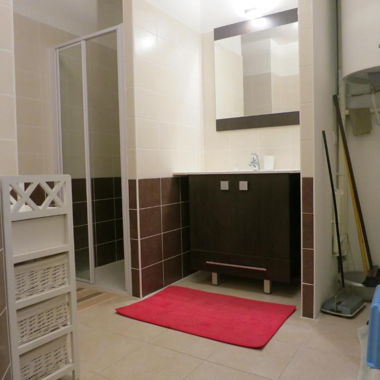 Les Allobroges C03 - Appartement 1 Chambre - 5