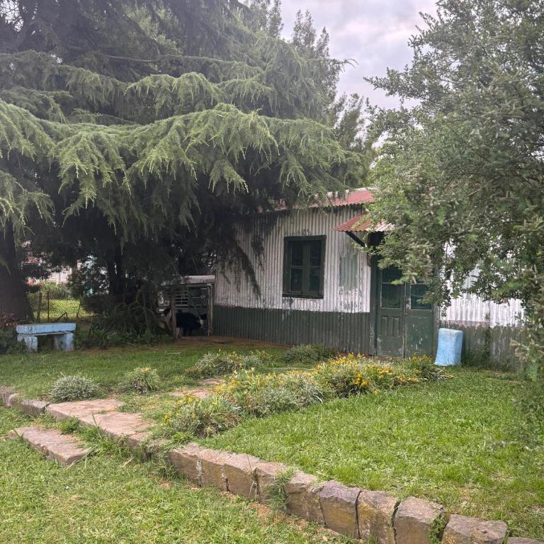 Hospedaje Patricia - Apartamento de 2 dormitorios - 6