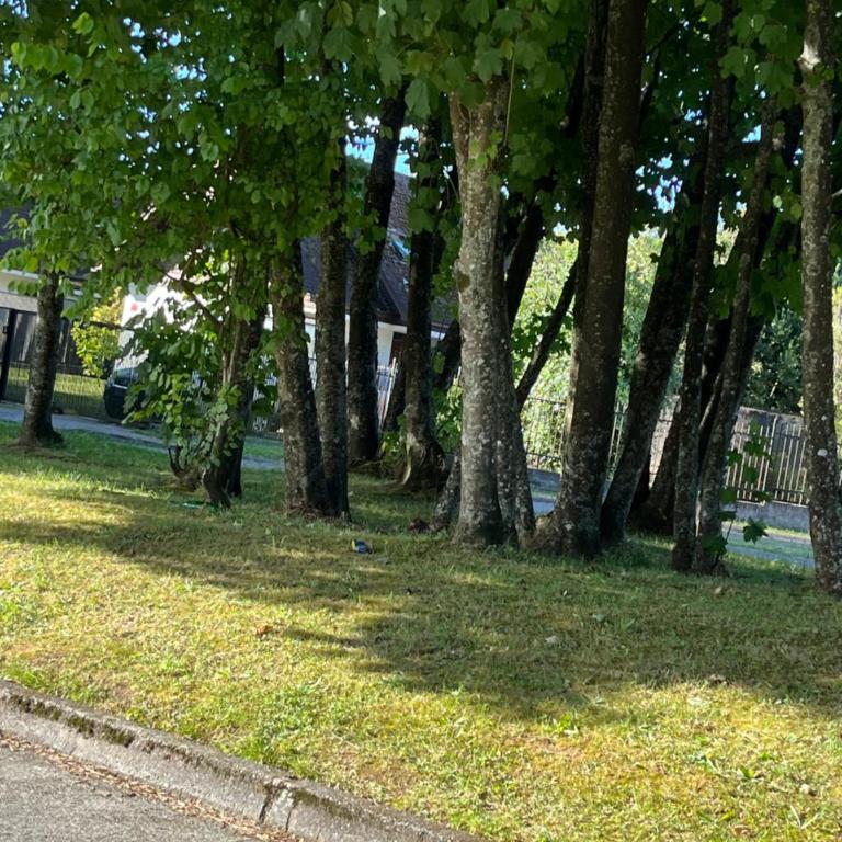 Cabaña barrio residencial - One-Bedroom Apartment - 1